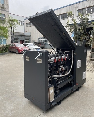 좋은 가격 고효율 CE는 극소 바이오가스 CHP 작은 폐열발전기 집합 유니트 시스템 16 kw 20 킬로볼트 암페어를 승인했습니다 온라인으로