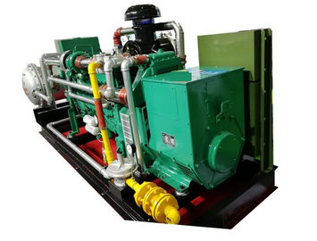 좋은 가격 300KVA 250KW 60Hz 바이오 가스 CHP의 원격 감시 CHP 동세대 체계 온라인으로