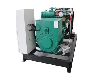 좋은 가격 비바람에 견디는 50HZ 230V 바이오 가스 CHP, 바이오 가스 연료 CHP 열 및 전력 BHKW 25KW 30KVA 온라인으로